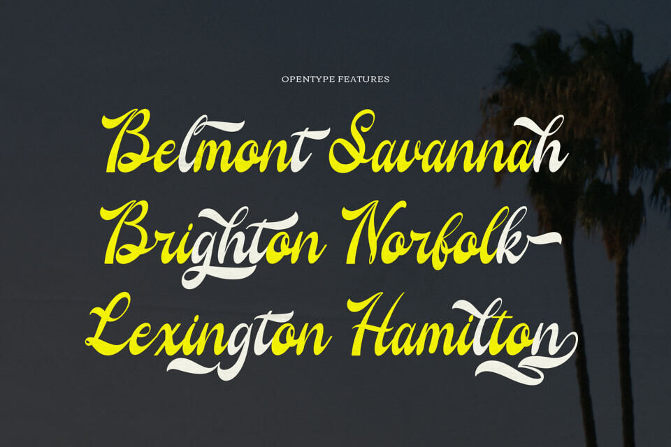 Regarding Wayback Font