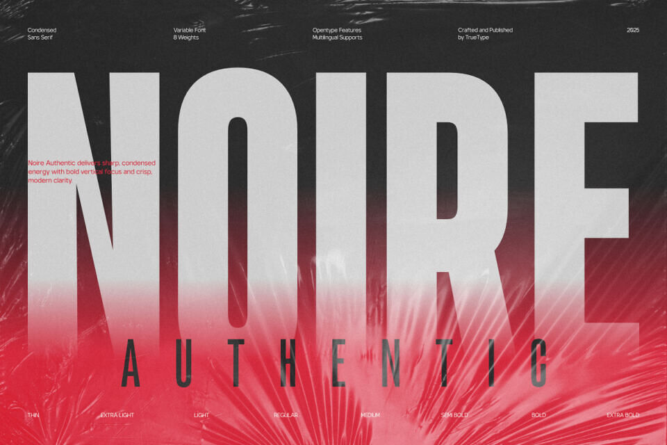 TRT Noire Authentic Font