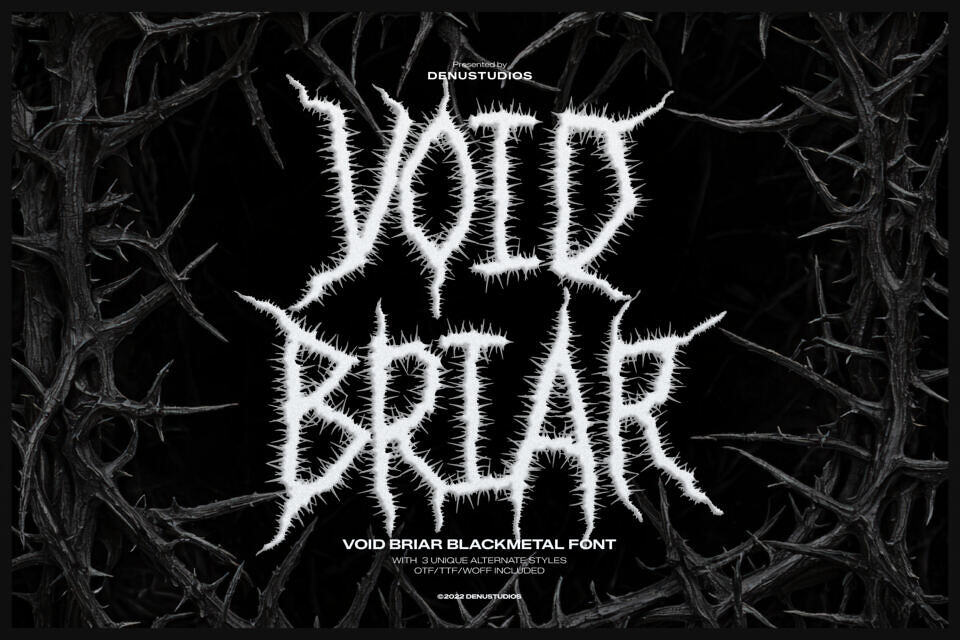 Void Briar Font