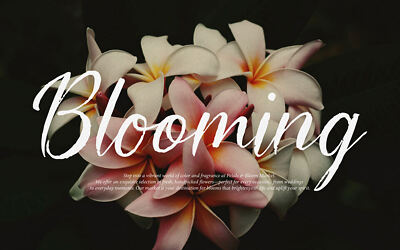 Yonella Font
