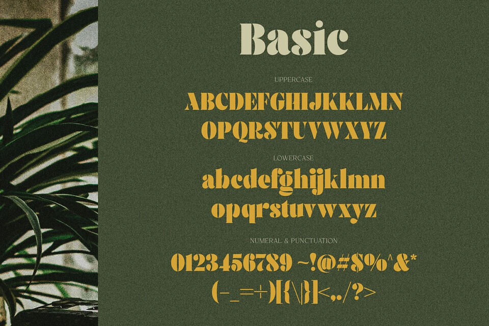 Brolike Font