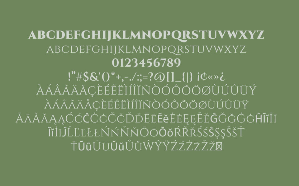 Cinzel Font Family