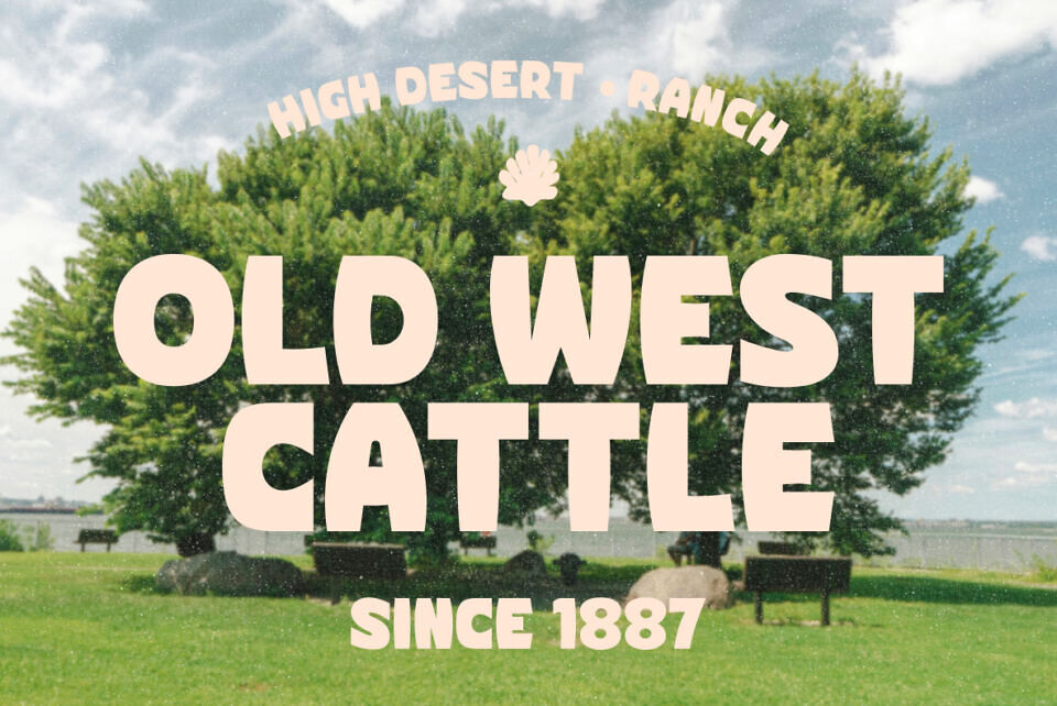 Corva Bold Inside Font