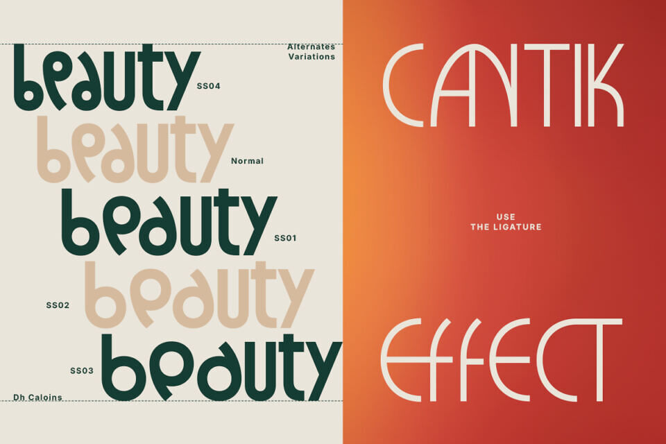 Dh Caloins Font