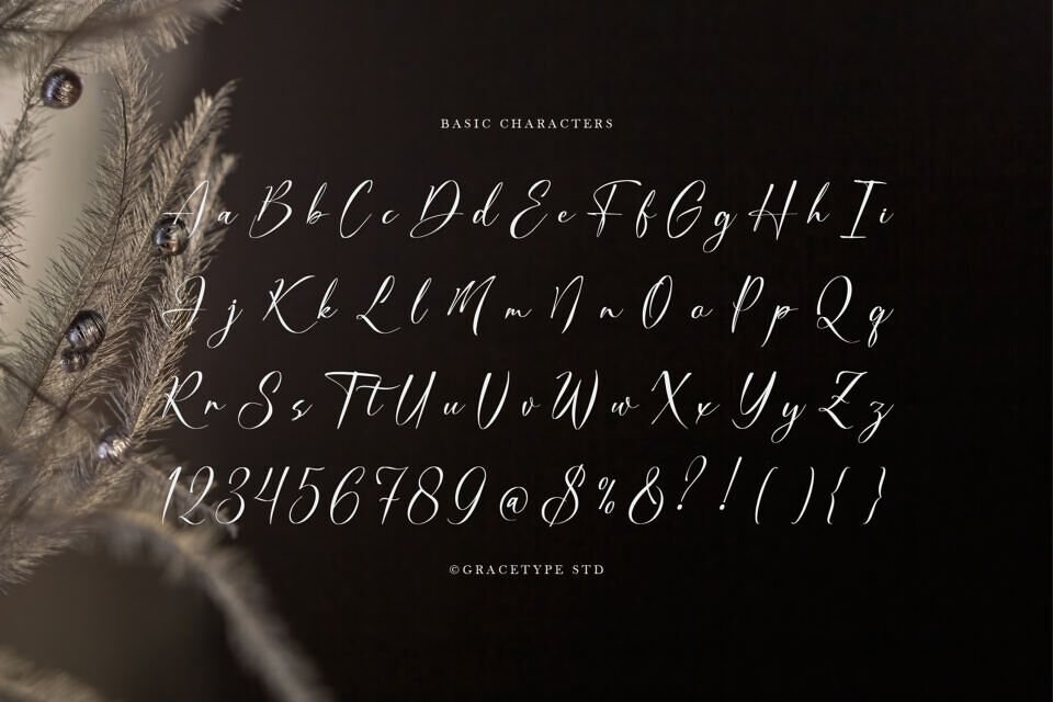 Dialmeray Font