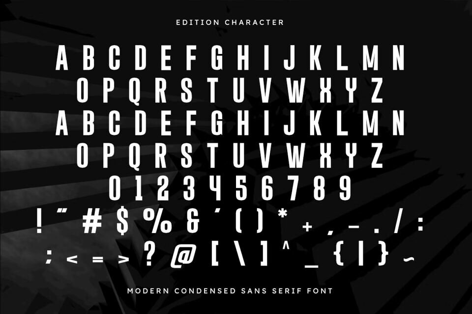 Edition Font