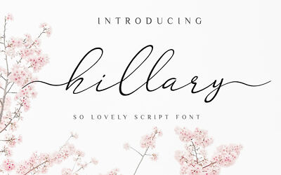 Hillary Font