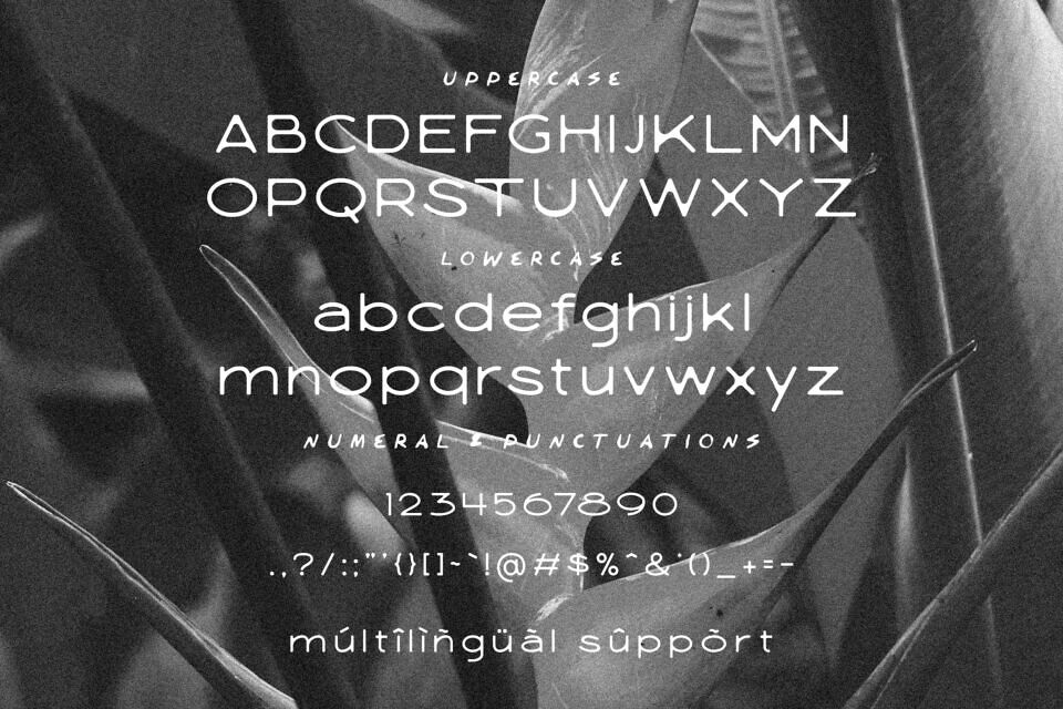 Kimane Font