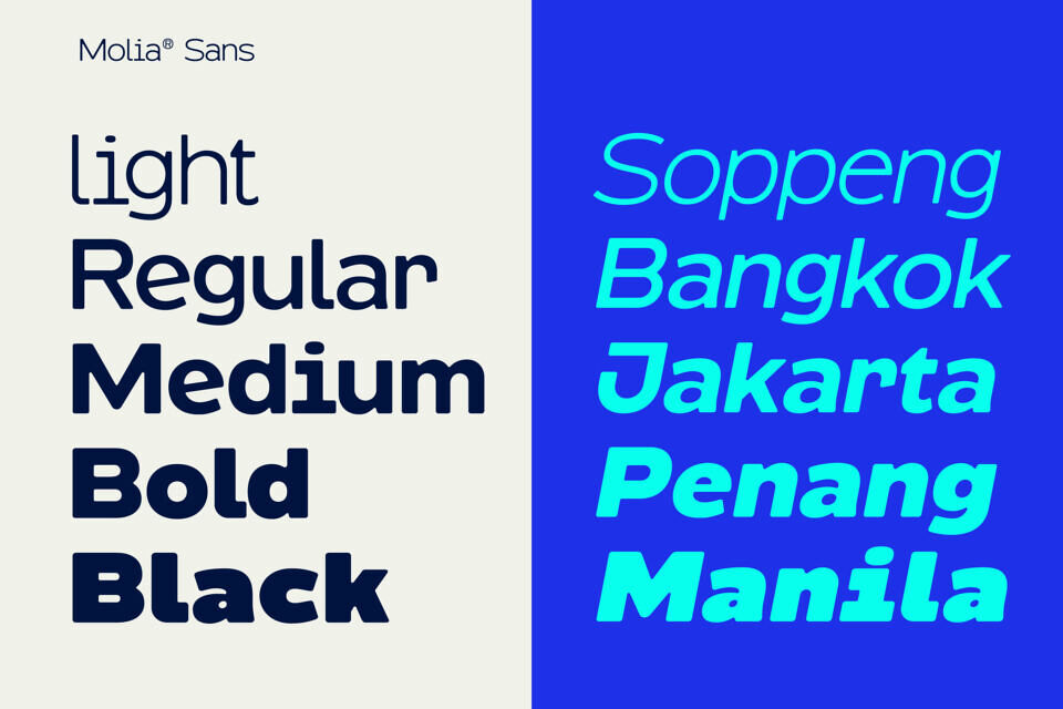 Molia Font