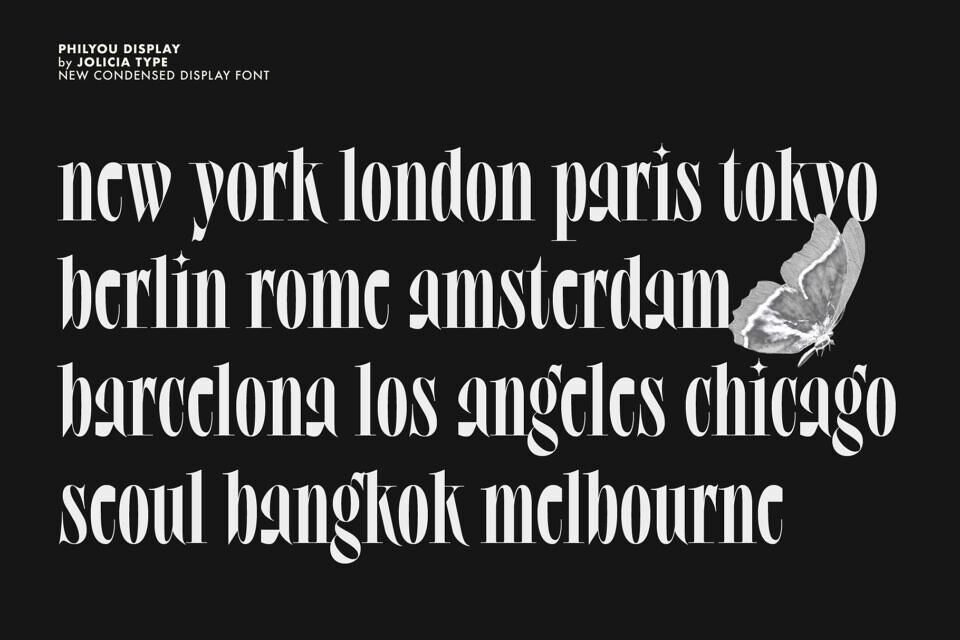 Philyou Display Font