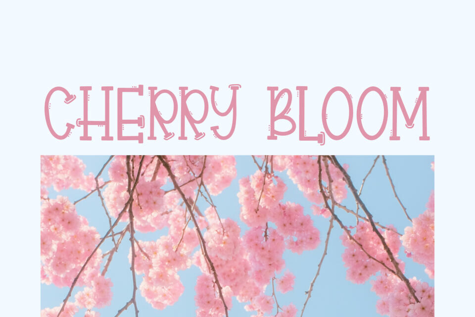 Rillwood Font