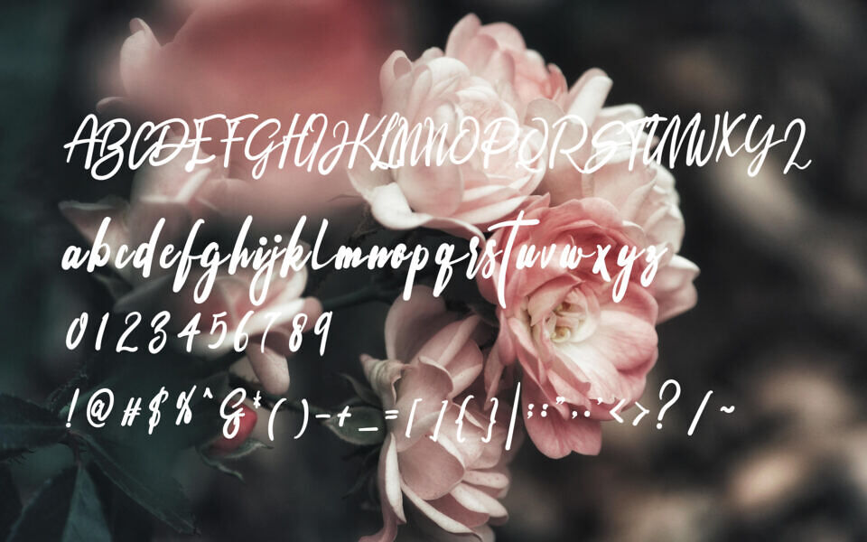 Signature Font