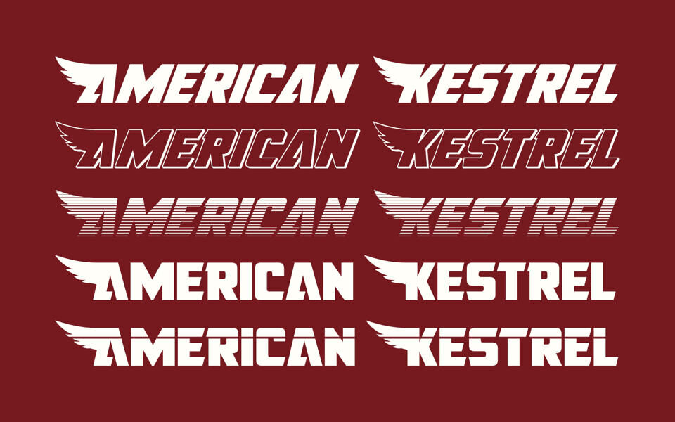 American Kestrel Font Family