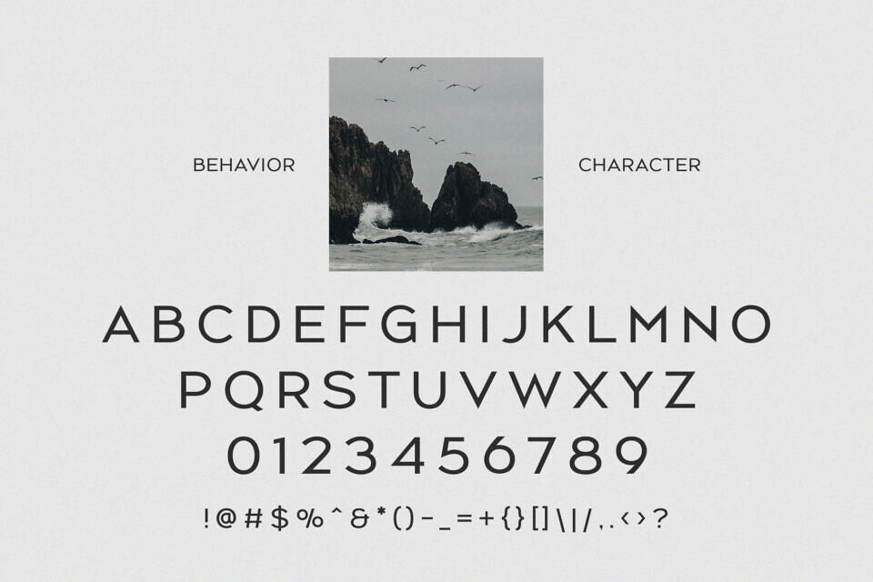 Behavior Font