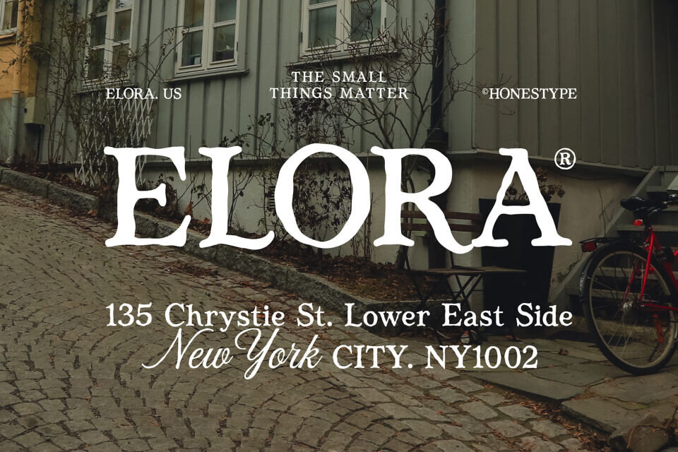 Bonfield Serif Font
