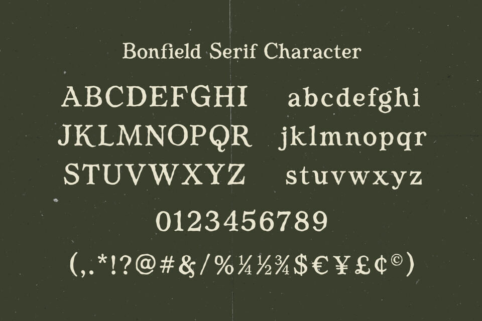 Bonfield Serif Font