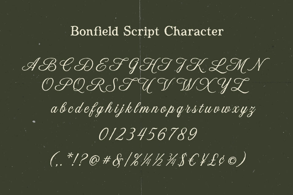 Bonfield Serif Font