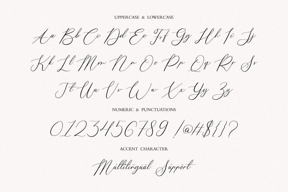 Calligrapher Font