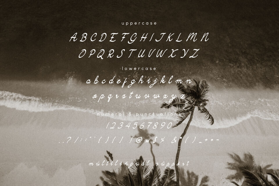 Camarali Font