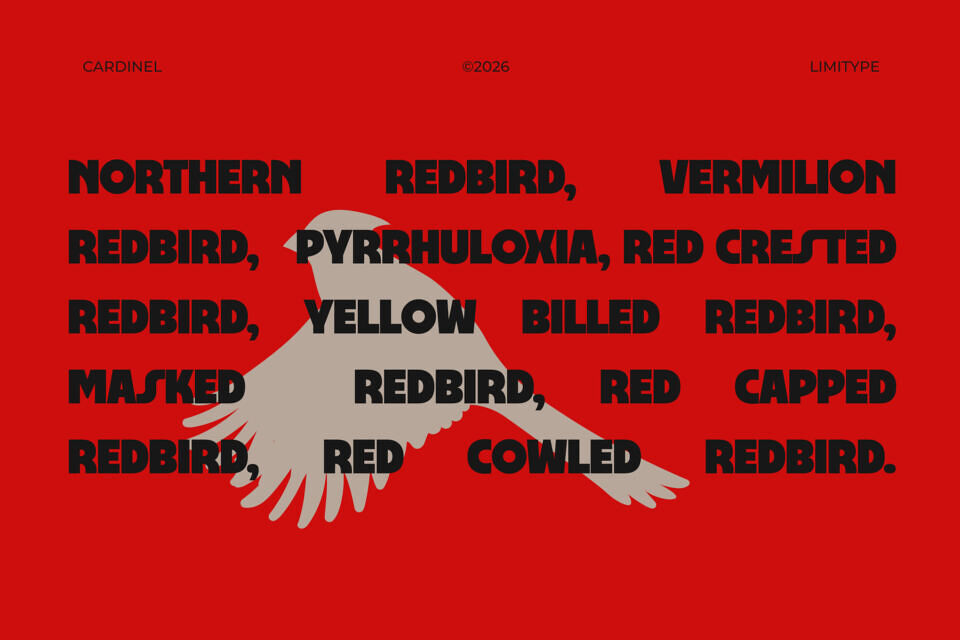 Cardinel Font
