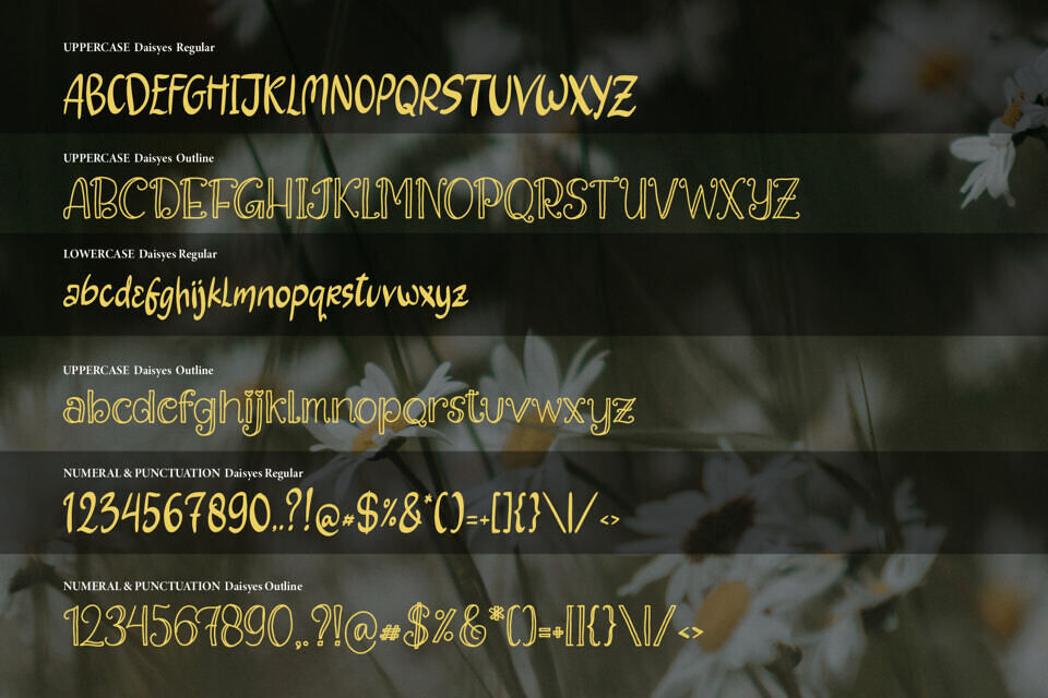 Daisyes Font