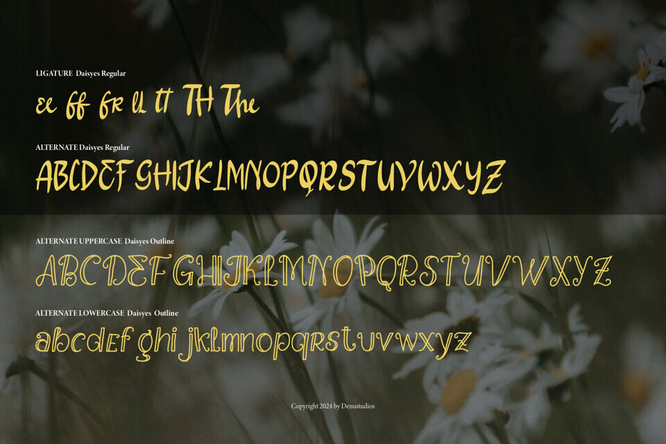Daisyes Font