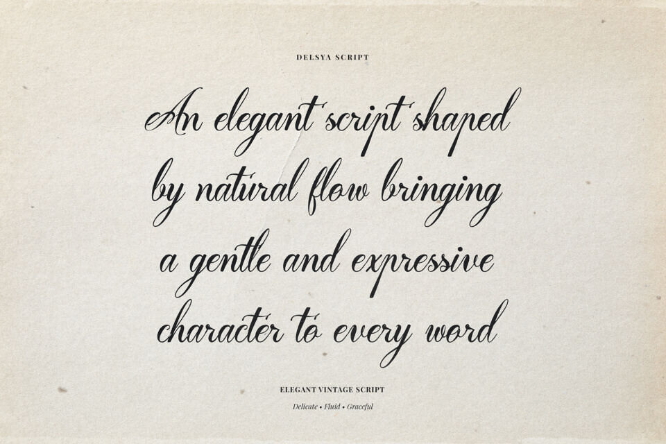 Delsya Script Font