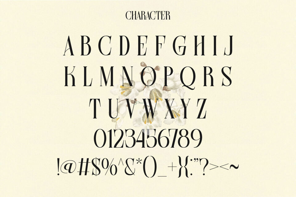 Farqey Denours Font
