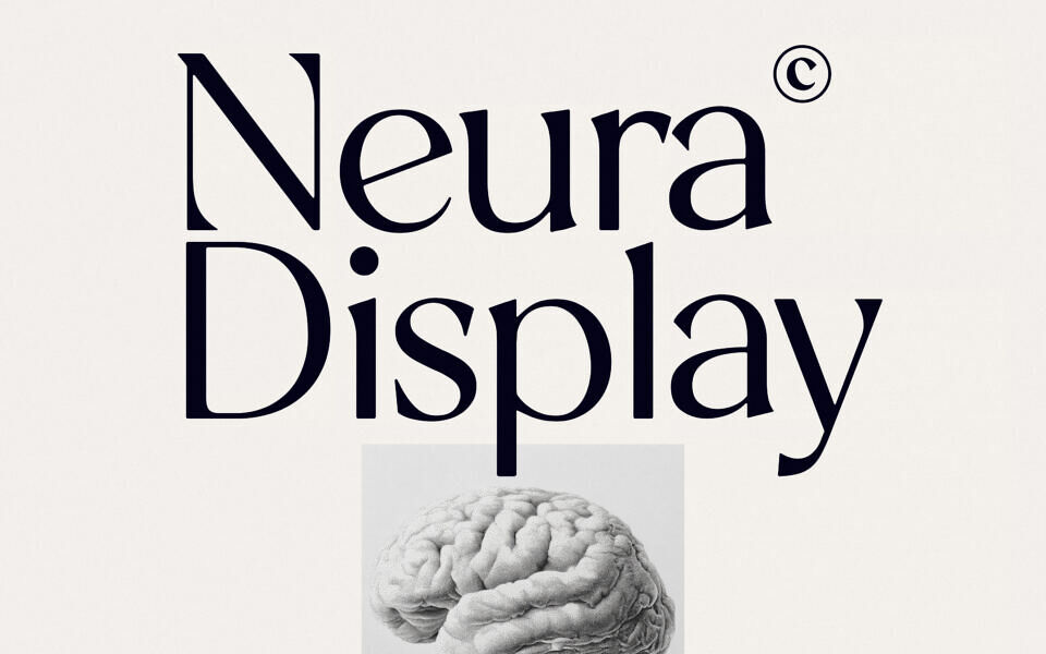 Neura Display Font Family