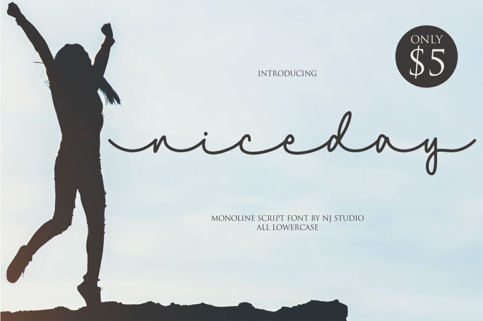 Niceday Font