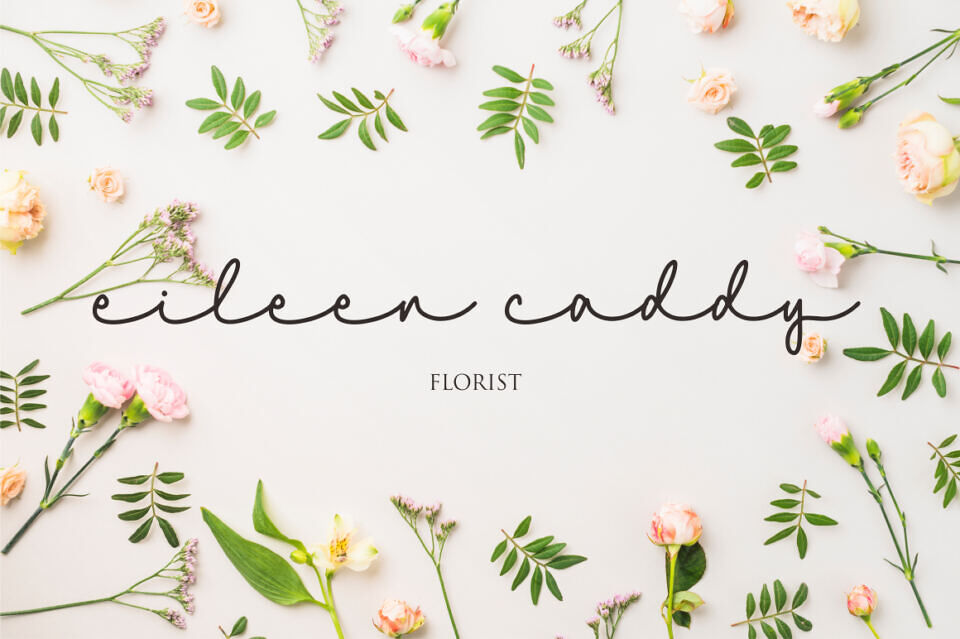 Niceday Font