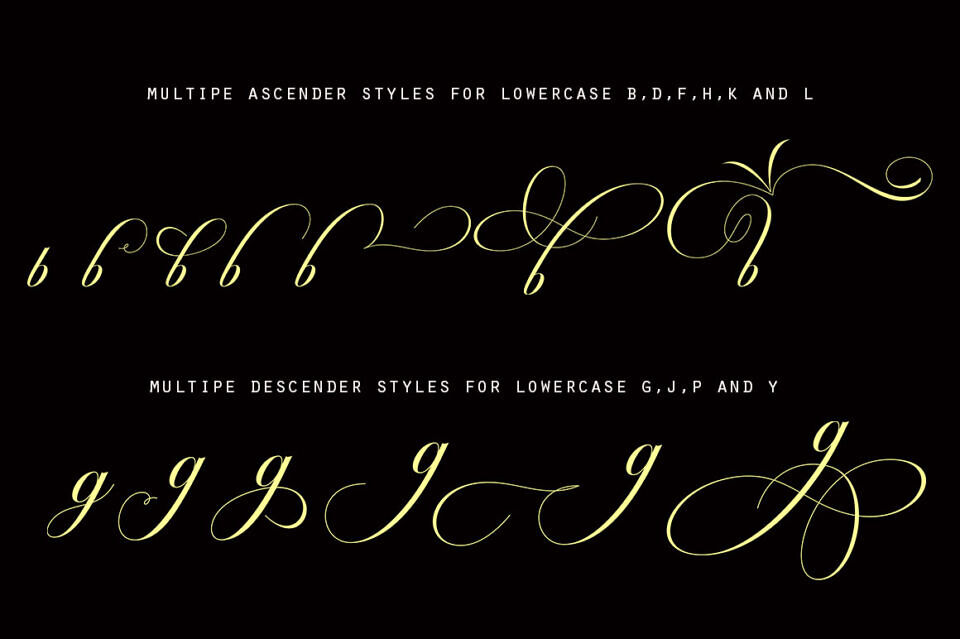 Octagon Calligraphy Font