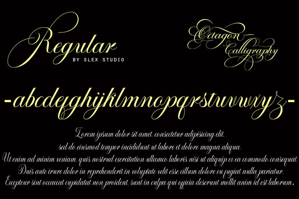 Octagon Calligraphy Font