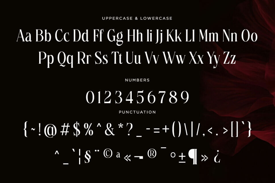 Petrichor Font