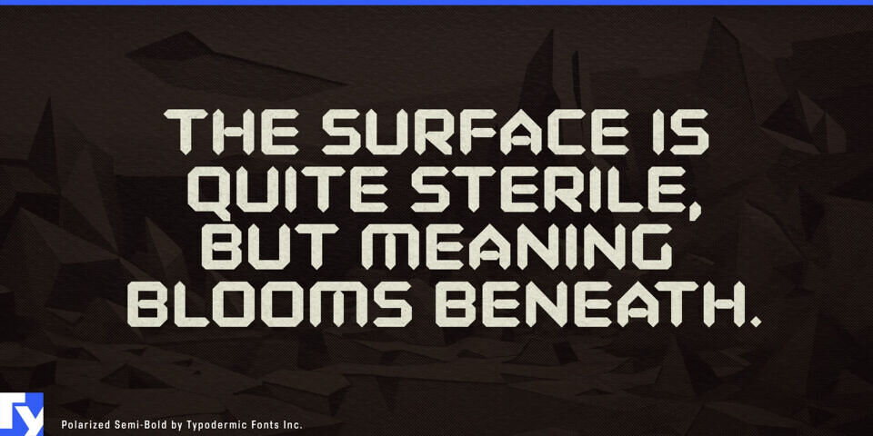 Polarized Font
