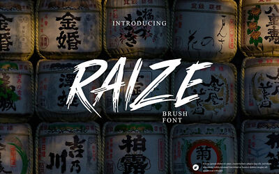 Raize Font