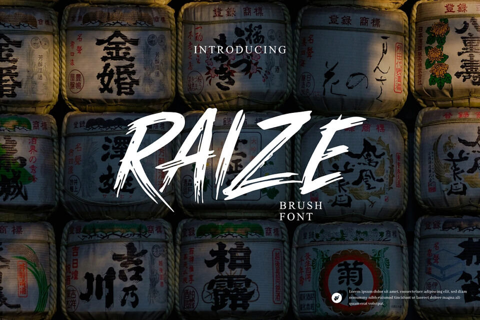Raize Font