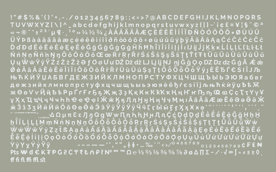 Raleway Font Family