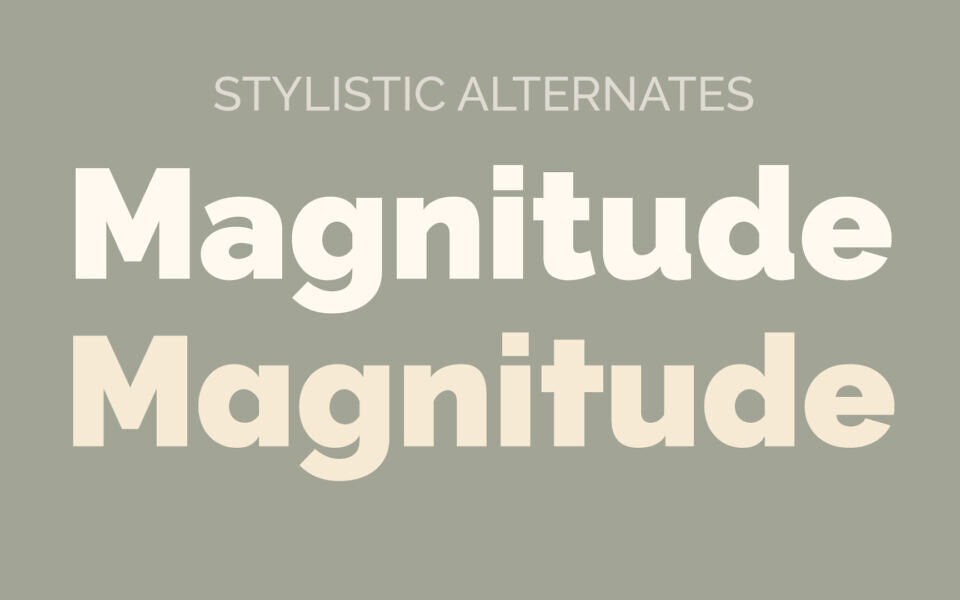 Raleway Font Family