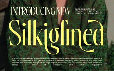 Silkigfined Font
