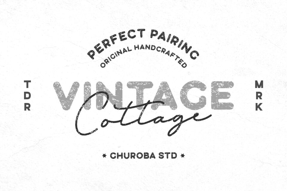 Silverstone Font Family