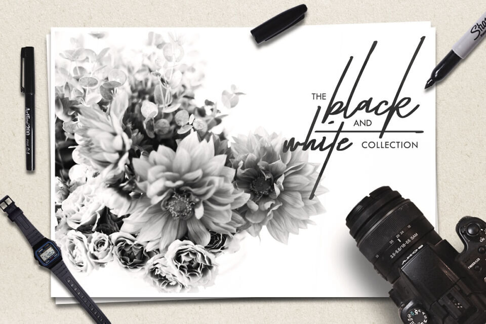 Taken by Vultures Font