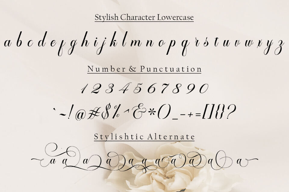 Zimbara Font
