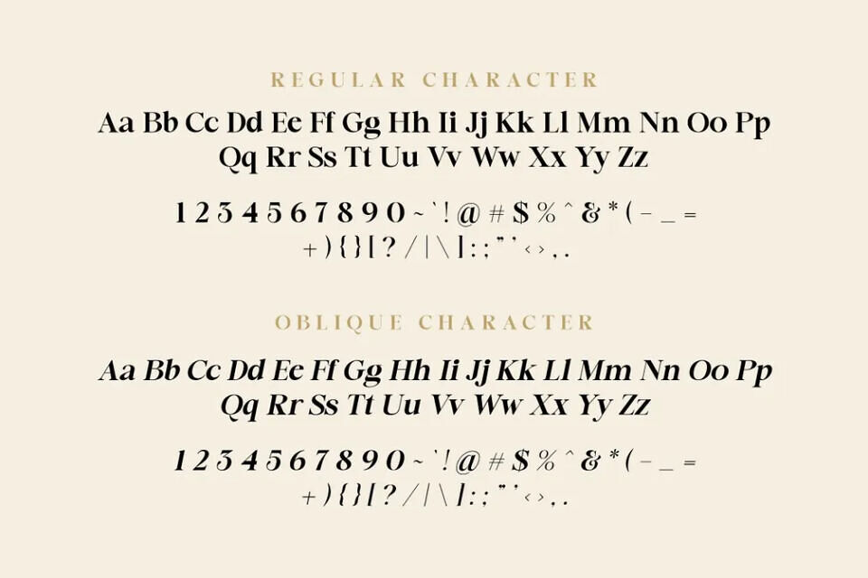 Amsterdam Serif Font