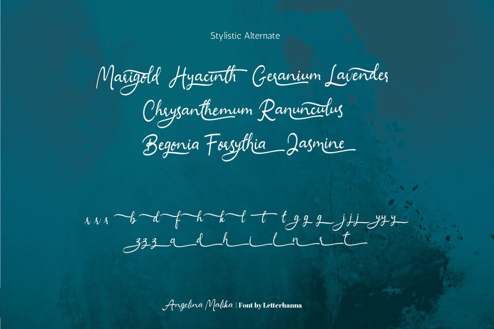 Angelina Malika Font