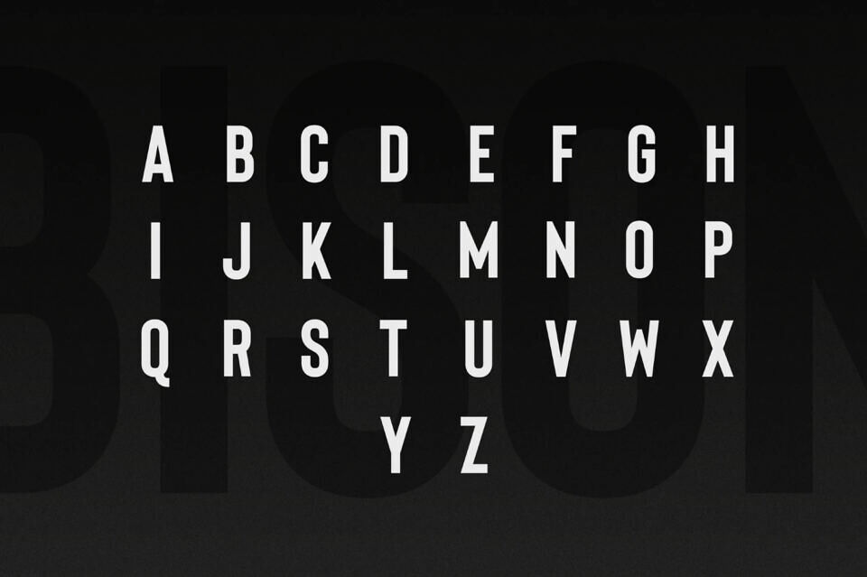 Bison Font