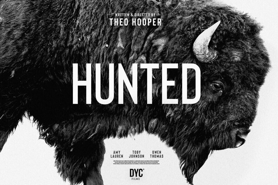 Bison Font