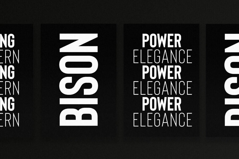 Bison Font
