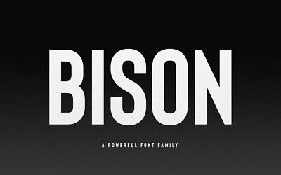 Bison Font