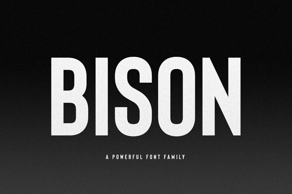 Bison Font